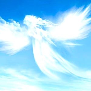 Thankful, Blessed,  and Back to Work🎉🎈🙏